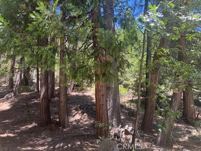 27476 Cedarwood Ct, Lake Arrowhead, CA 92352