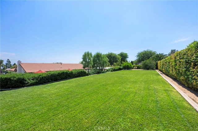9430 Valley View St, Rancho Cucamonga, CA 91737 - view of green lawn