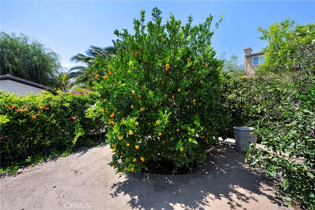 9430 Valley View St, Rancho Cucamonga, CA 91737 - view of yard