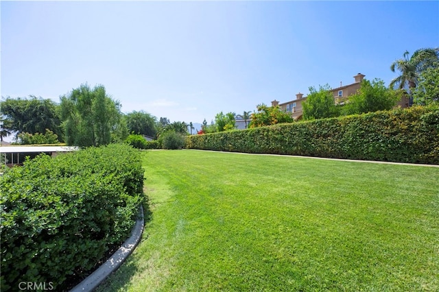 9430 Valley View St, Rancho Cucamonga, CA 91737 - view of grassy yard