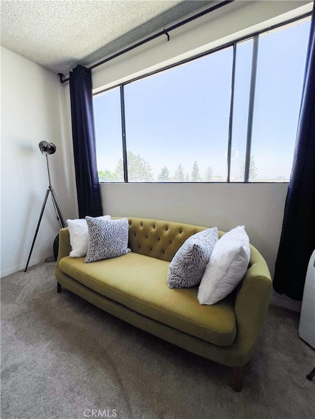 5310 Zelzah Ave Unit 312, Encino, CA 91316 - living area with carpet and a textured ceiling