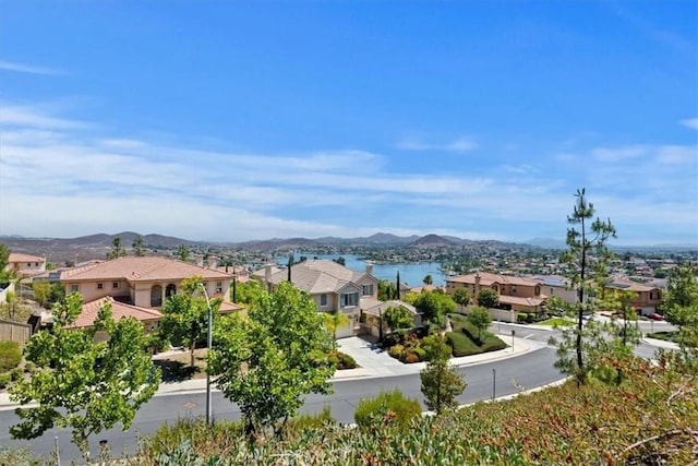 29 Plaza Lucerna, Lake Elsinore, CA 92532 - photo 68