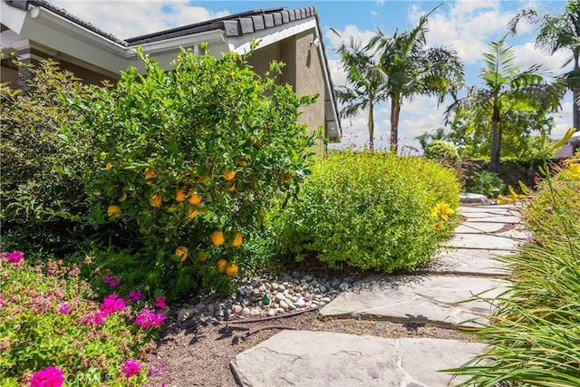 21210 Twin Oak, Yorba Linda, CA 92886 - view of yard