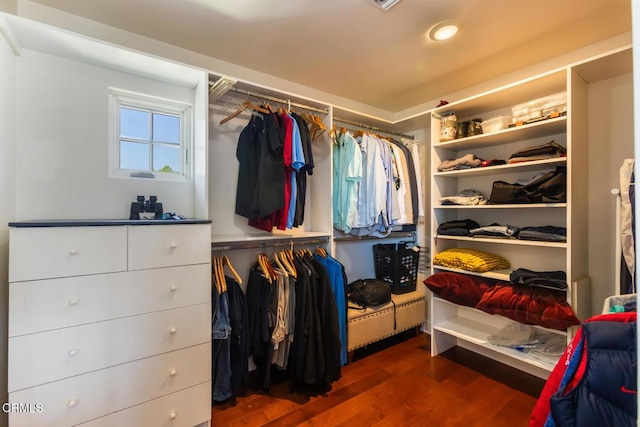 3626 Saint Elizabeth Rd, Glendale, CA 91206 - spacious closet featuring wood finished floors