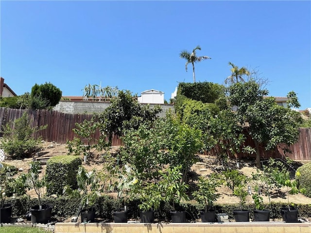 2227 Langspur Dr, Hacienda Heights, CA 91745 - view of yard