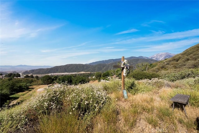 18310 Canon St, Devore, CA 92407 - view of mountain background