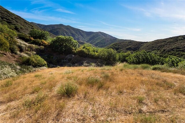 18310 Canon St, Devore, CA 92407 - view of mountain background