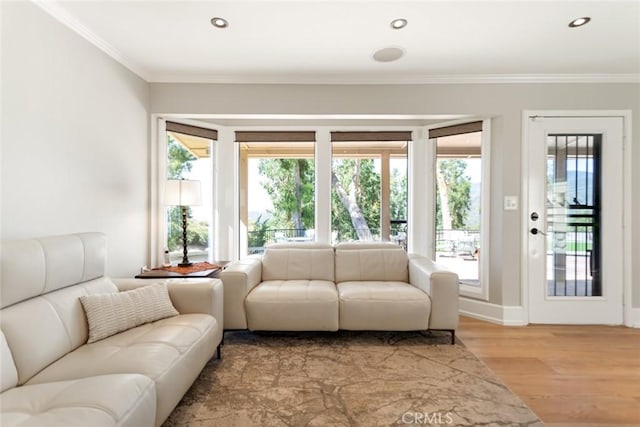 18310 Canon St, Devore, CA 92407 - living area featuring light wood finished floors, ornamental molding, and recessed lighting