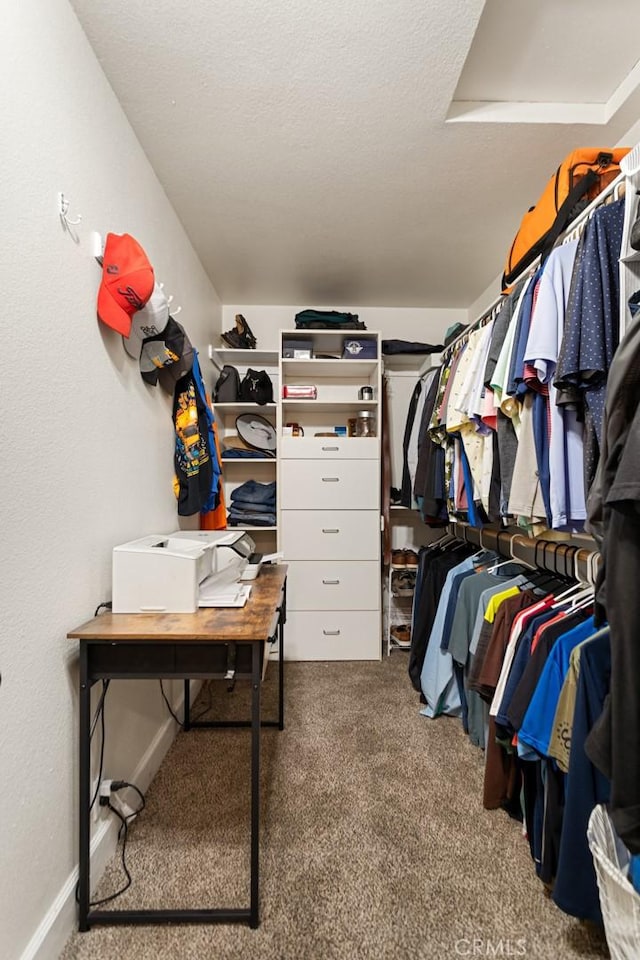 18310 Canon St, Devore, CA 92407 - spacious closet with carpet floors