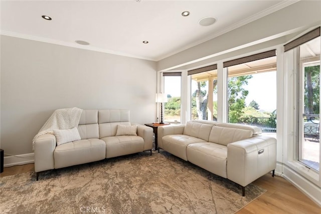 18310 Canon St, Devore, CA 92407 - living room with crown molding, light wood-type flooring, and recessed lighting