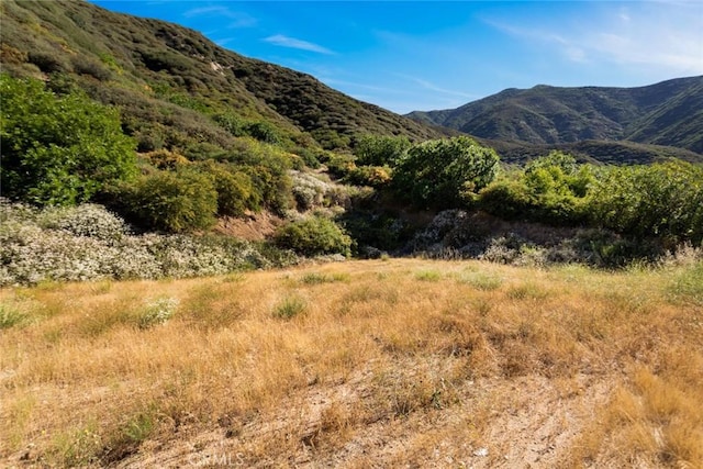 18310 Canon St, Devore, CA 92407 - view of mountain background