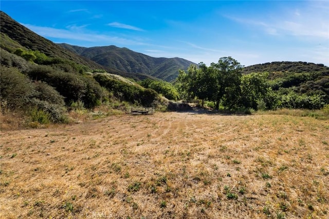 18310 Canon St, Devore, CA 92407 - view of mountain backdrop