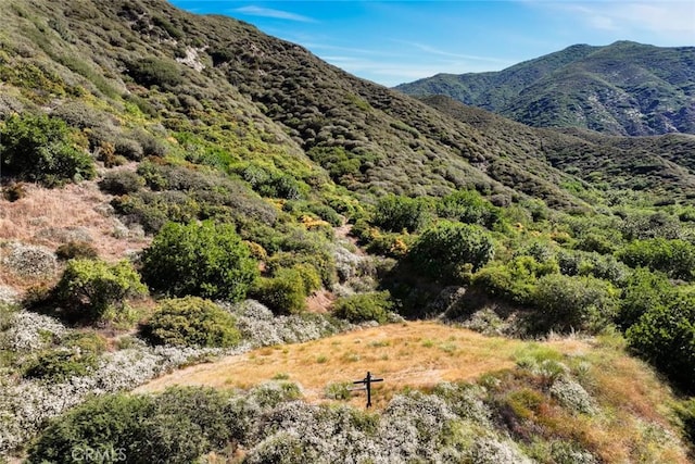 18310 Canon St, Devore, CA 92407 - view of mountain background