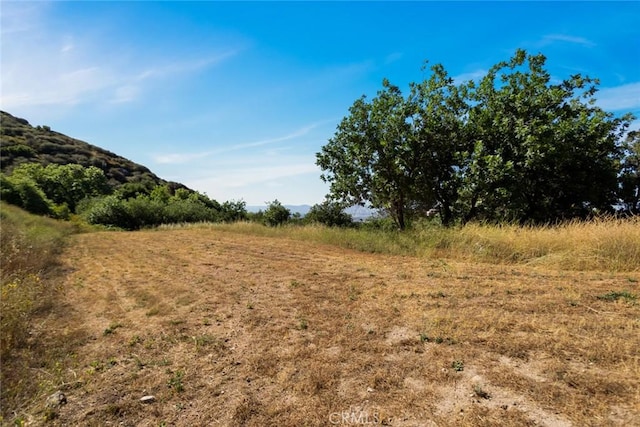 18310 Canon St, Devore, CA 92407 - view of undeveloped land