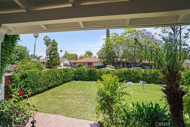 5525 Costello Ave, Sherman Oaks, CA 91401 - view of green lawn