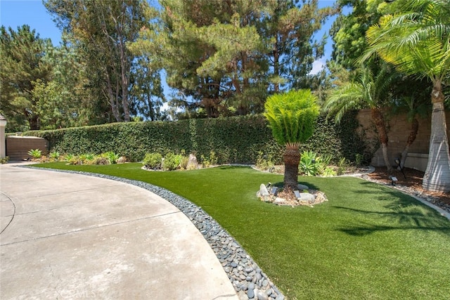 2 Shadow, Irvine, CA 92620 - view of yard