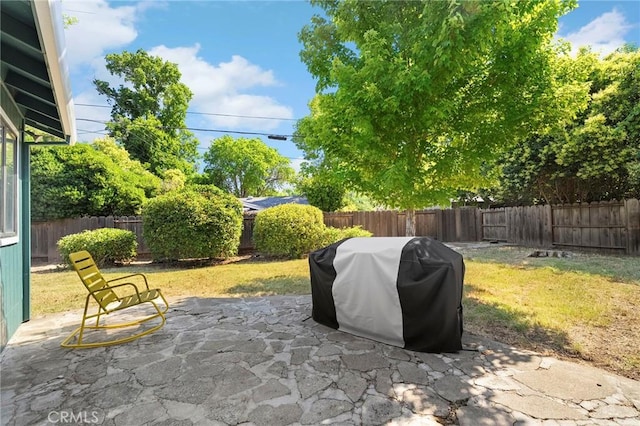 886 Lynn Ln, Chico, CA 95926 - fenced backyard featuring a grill and a patio