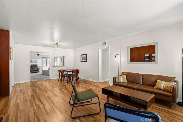 886 Lynn Ln, Chico, CA 95926 - living room featuring light wood-type flooring, ceiling fan, and a textured ceiling