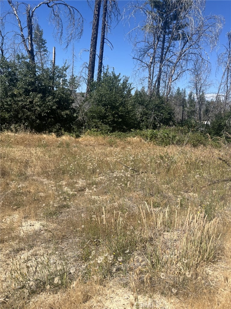 130 Simpson Ranch Rd, Berry Creek, CA 95916
