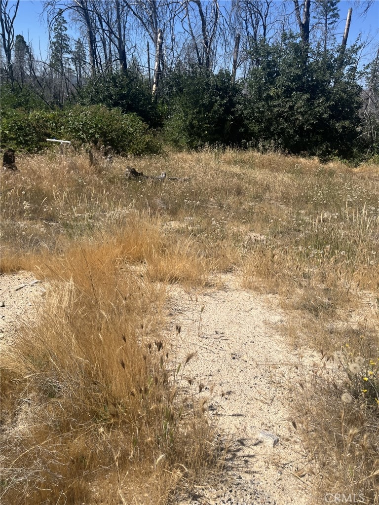 130 Simpson Ranch Rd, Berry Creek, CA 95916