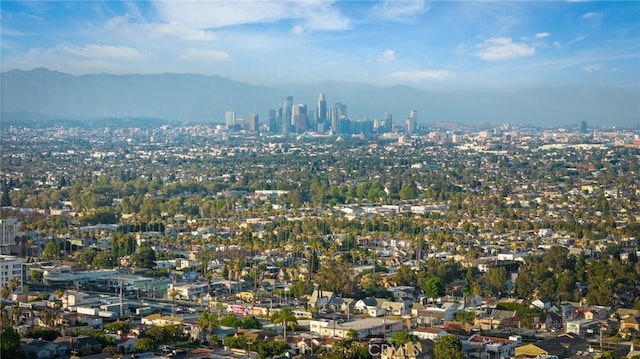 5115 W Blvd, Los Angeles, CA 90043 - photo 43