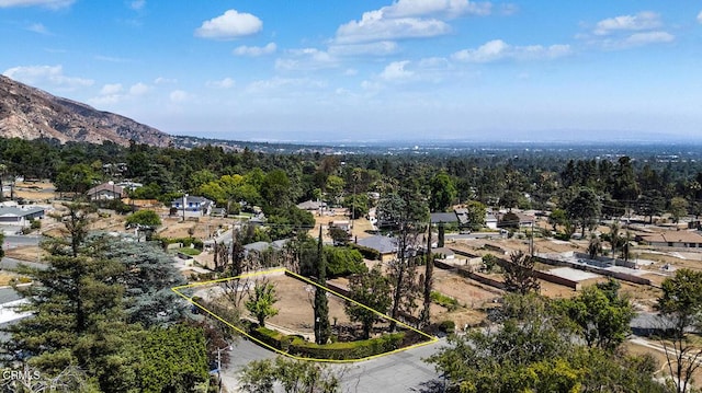 1068 Dolores Dr, Altadena, CA 91001 - photo 16