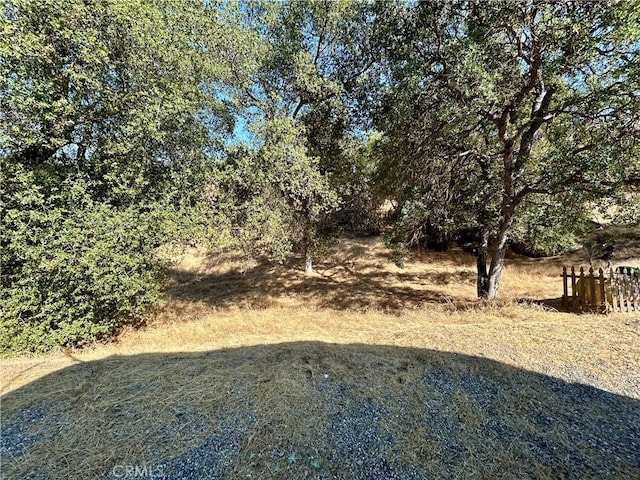42445 Deep Forest Dr, Coarsegold, CA 93614 - view of yard