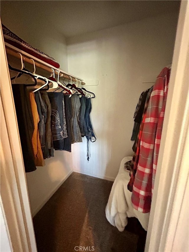 42445 Deep Forest Dr, Coarsegold, CA 93614 - spacious closet with carpet