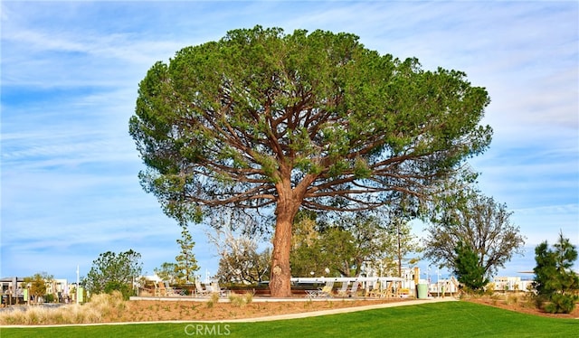 143 Interval, Irvine, CA 92618 - view of home's community with a yard