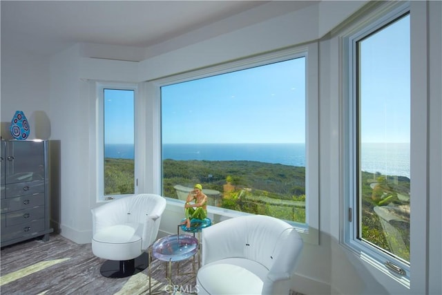 34385 Dana Strand Rd Unit B, Dana Point, CA 92629 - photo 15