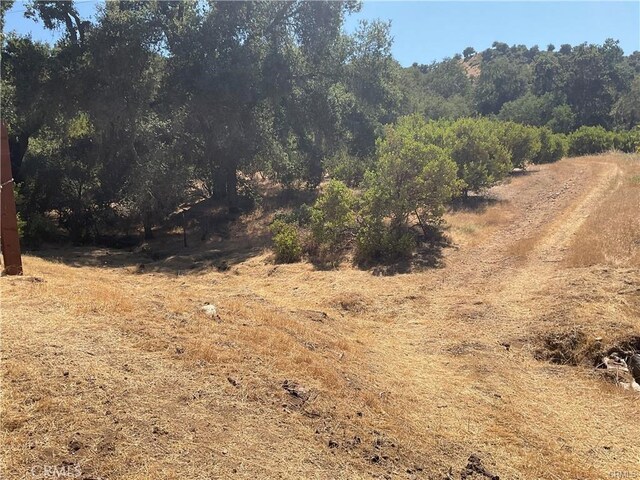 47199 Arroyo Seco Rd, Greenfield, CA 93927 - photo 4