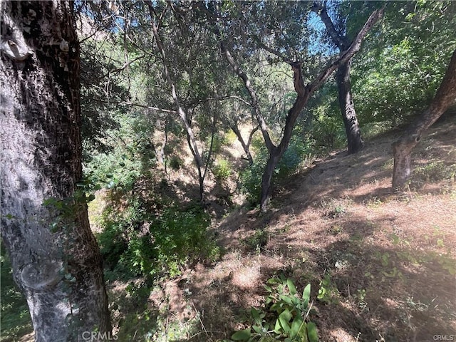 47199 Arroyo Seco Rd, Greenfield, CA 93927 - photo 17