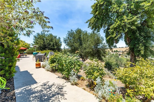 2045 Vista De La Vina, Templeton, CA 93465 - photo 49