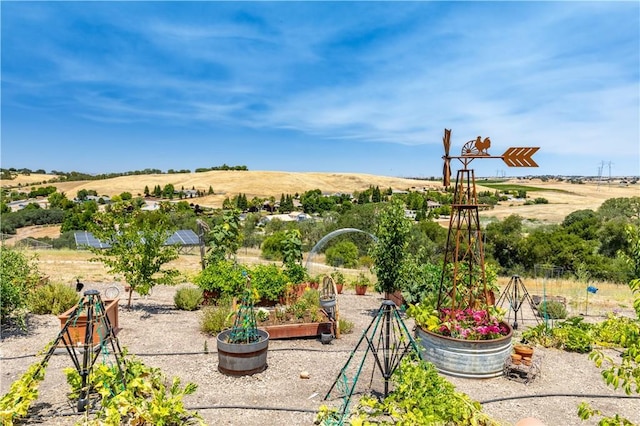 2045 Vista De La Vina, Templeton, CA 93465 - photo 61