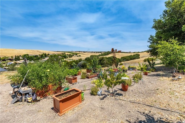 2045 Vista De La Vina, Templeton, CA 93465 - photo 60