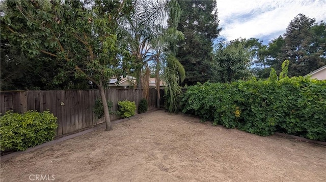 3242 Ashbury Ave, Madera, CA 93637 - view of yard