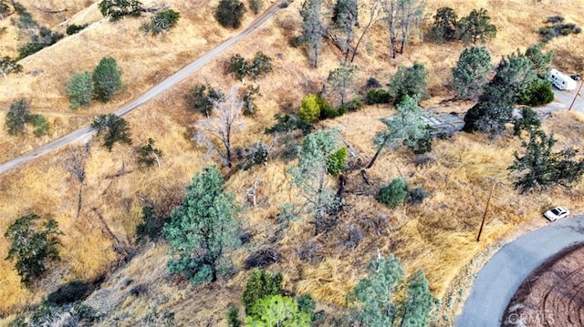 9999 Balboa Ct, Friant, CA 93626 - photo 8