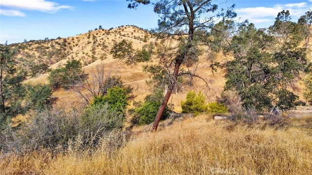 9999 Balboa Ct, Friant, CA 93626 - photo 4