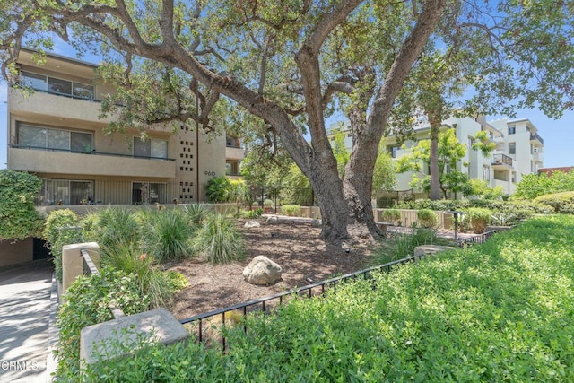 960 San Pasqual St Unit 208, Pasadena, CA 91106 - view of property's community