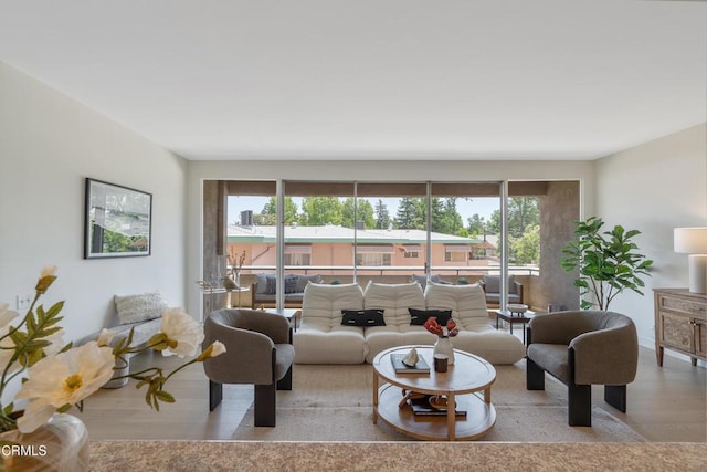 960 San Pasqual St Unit 208, Pasadena, CA 91106 - living room featuring wood finished floors and healthy amount of natural light
