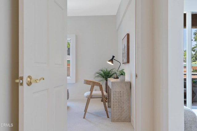 960 San Pasqual St Unit 208, Pasadena, CA 91106 - hall with carpet flooring