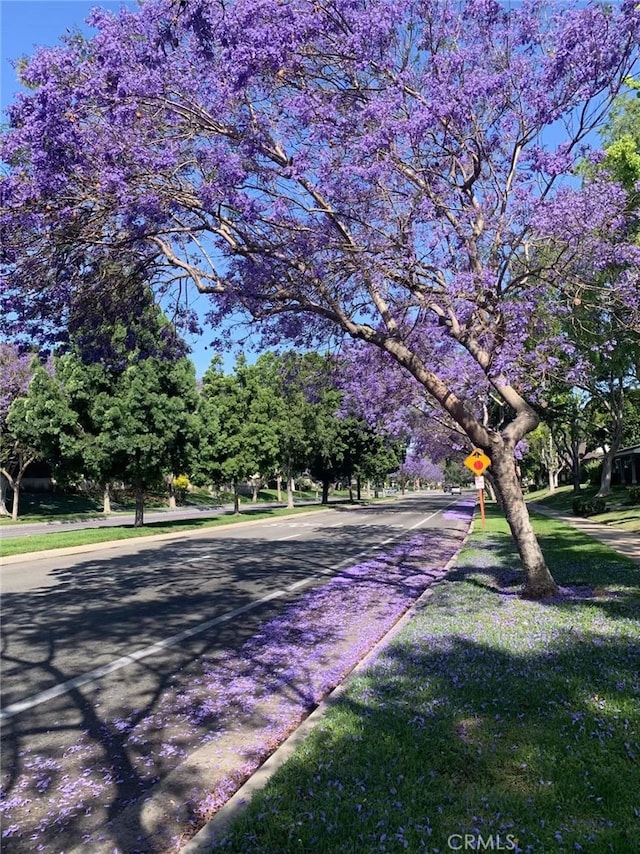 45 Briarglen Unit 64, Irvine, CA 92614 - view of asphalt street with traffic signs