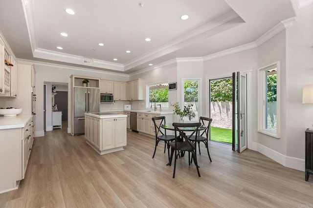 4470 Caminito Tecera, Del Mar, CA 92014 - kitchen with a raised ceiling, appliances with stainless steel finishes, light wood-style floors, light countertops, and crown molding