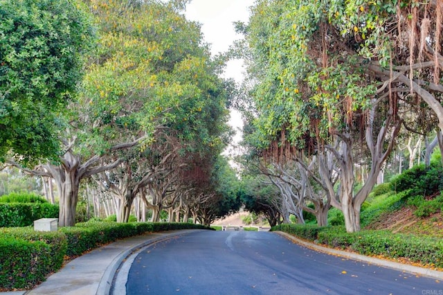 4470 Caminito Tecera, Del Mar, CA 92014 - view of asphalt street featuring curbs
