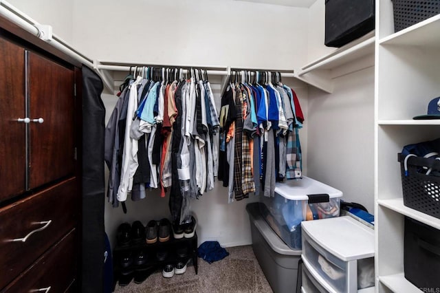 214 Woodland Pkwy Unit 206, San Marcos, CA 92069 - spacious closet featuring carpet