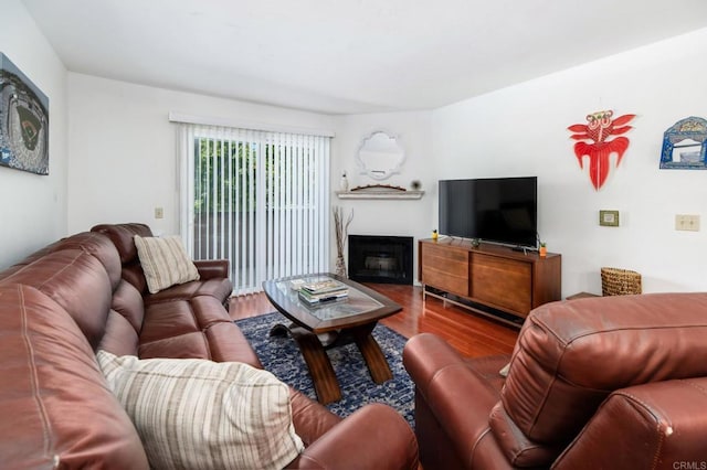 214 Woodland Pkwy Unit 206, San Marcos, CA 92069 - living area with wood finished floors and a fireplace