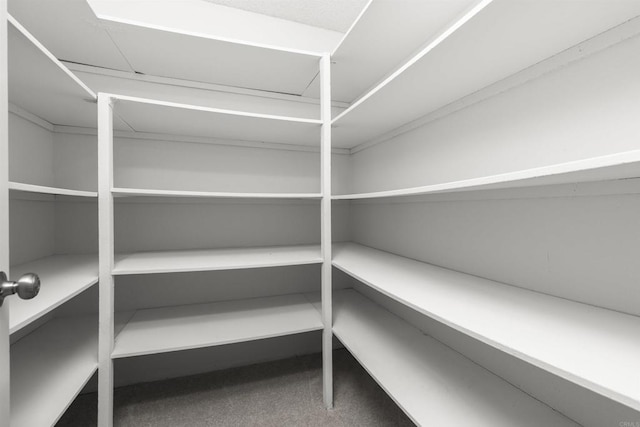 13443 Black Hills Rd, San Diego, CA 92129 - view of pantry