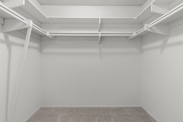 13443 Black Hills Rd, San Diego, CA 92129 - walk in closet with carpet floors