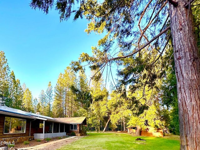 1997 Independence Cemetary Rd, Rail Road Flat, CA 95248 - photo 29