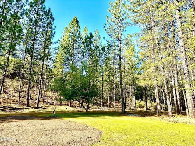 1997 Independence Cemetary Rd, Rail Road Flat, CA 95248 - photo 33